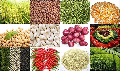 Công nghệ sấy nông sản