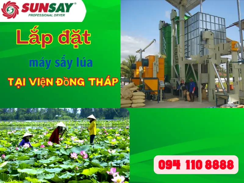 Lắp đặt máy sấy lúa tại viện Đồng Tháp