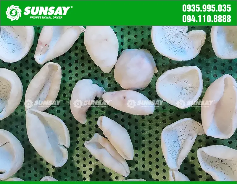 Máy sấy dừa non
