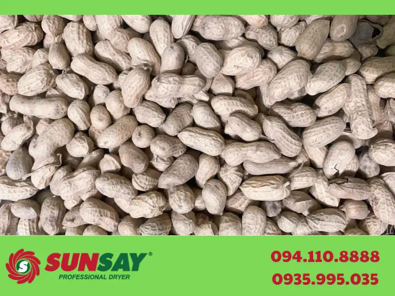 Đậu phộng có thể mang lại nhiều lợi ích cho bạn