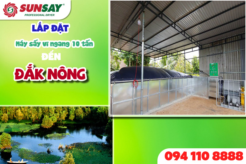 Lắp đặt máy sấy vĩ ngang 10 tấn đến Đắk Lắk