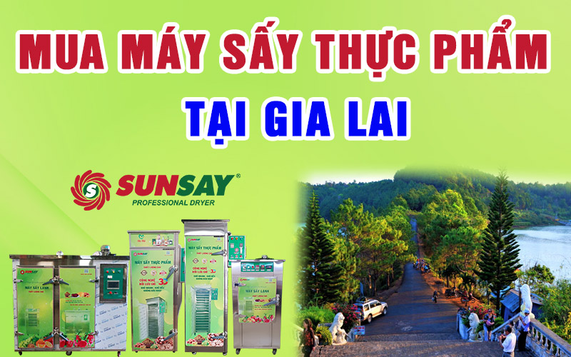 Mua máy sấy thực phẩm tại Gia Lai