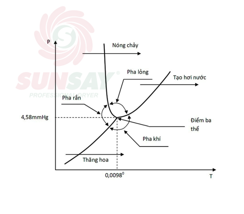 Nguyên lý hoạt động của quá trình thăng hoa