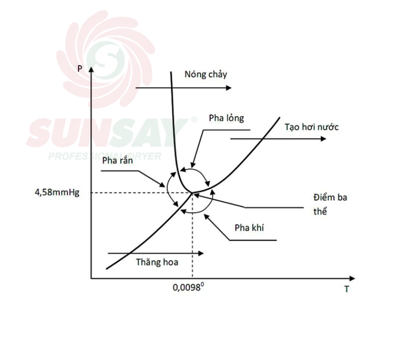 Nguyên lý hoạt động của quá trình thăng hoa 