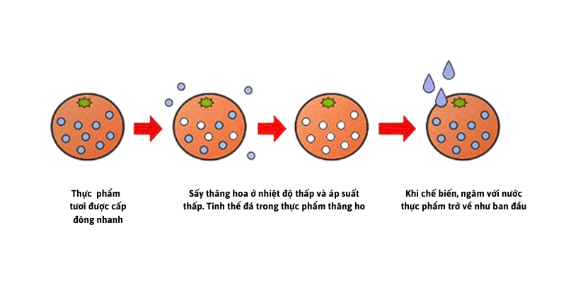 Hoạt động của quy trình sấy thăng hoa trong bảo quản thực phẩm