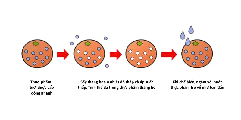 Hoạt động của quy trình sấy thăng hoa