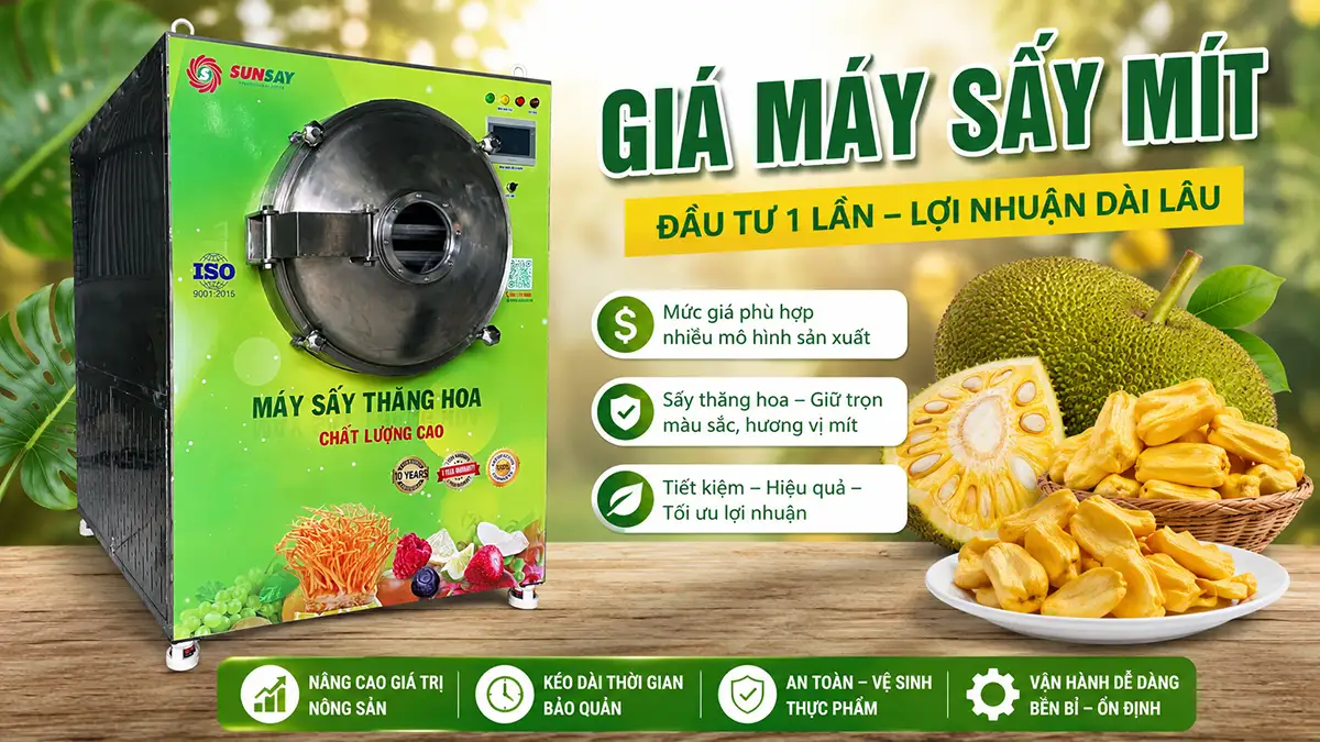 Cập nhật mới về giá máy sấy mít trên thị trường hiện nay