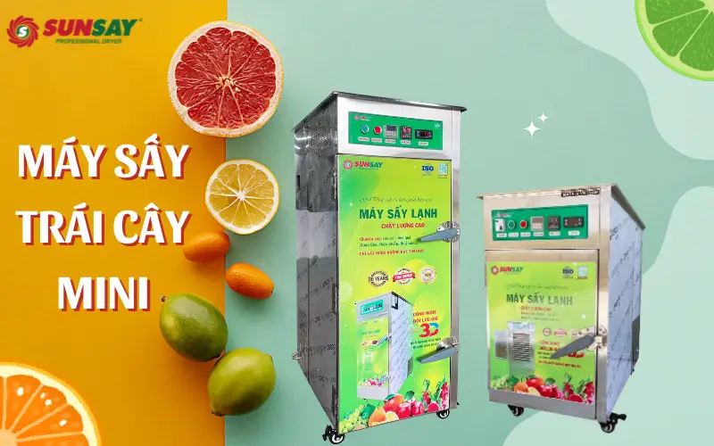 Máy sấy trái cây mini