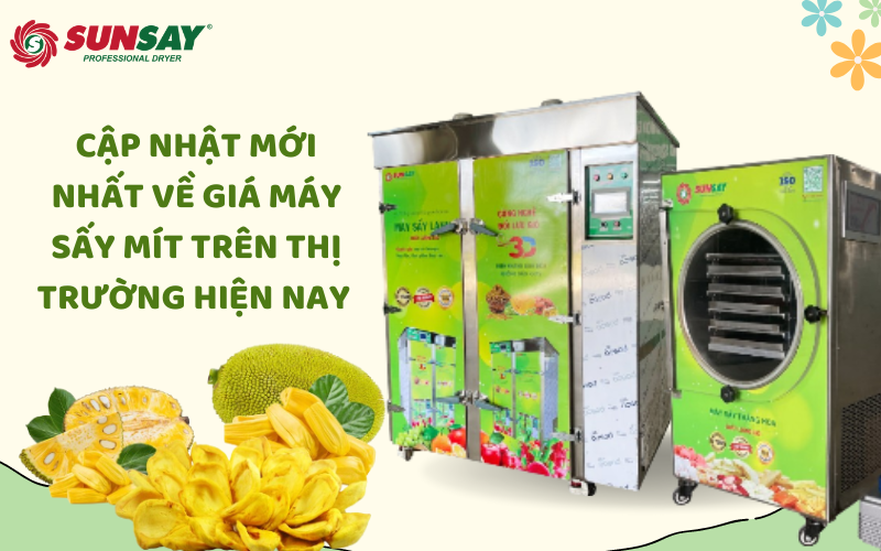 Cập nhật về giá máy sấy mít trên thị trường hiện nay