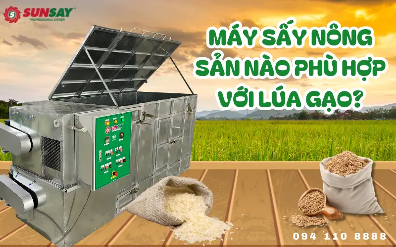 Máy sấy nông sản nào phù hợp với lúa gạo