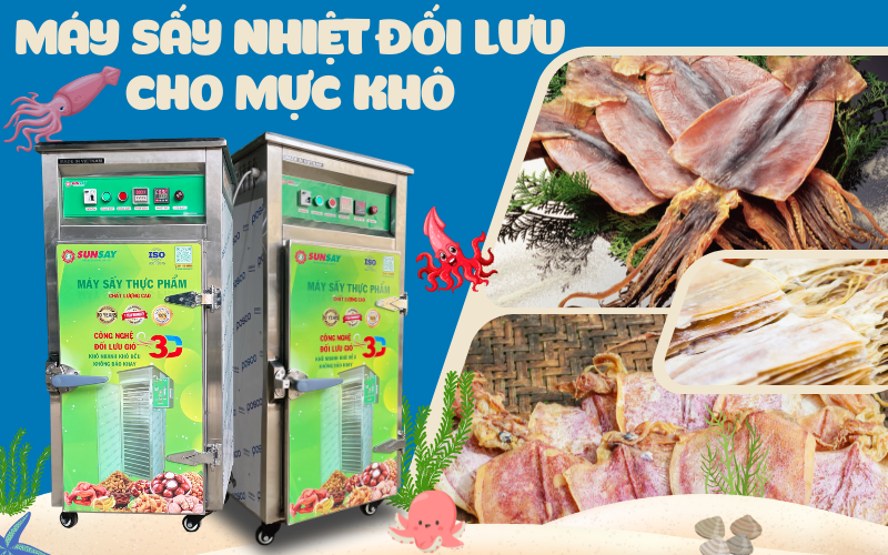 Giá máy sấy nhiệt đối lưu cho mực khô