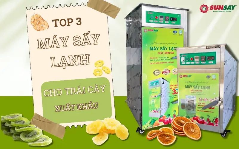 TOP 3 máy sấy lạnh cho trái cây xuất khẩu với công nghệ hiện đại, tiết kiệm điện