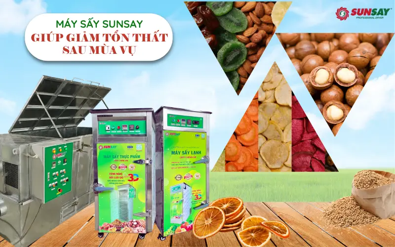 Cách máy sấy giúp giảm tổn thất sau mùa vụ và tăng lợi nhuận cho người nông dân