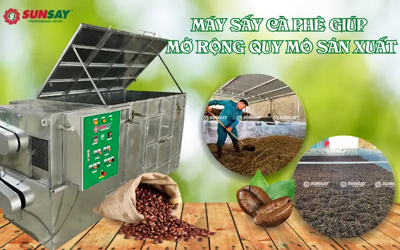 Máy sấy cà phê giúp mở rộng quy mô sản xuất