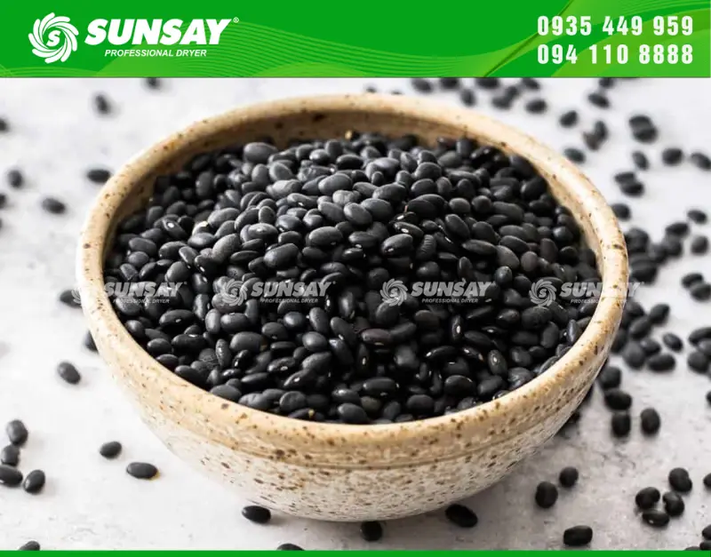 Đậu đen là loại hạt giàu giá trị dinh dưỡng