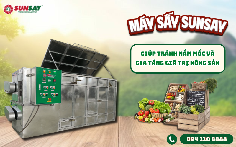 Máy sấy giúp tránh nấm mốc