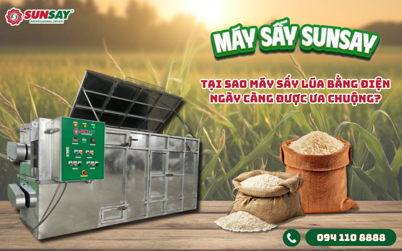 Máy sấy lúa bằng điện ngày càng được ưa chuộng