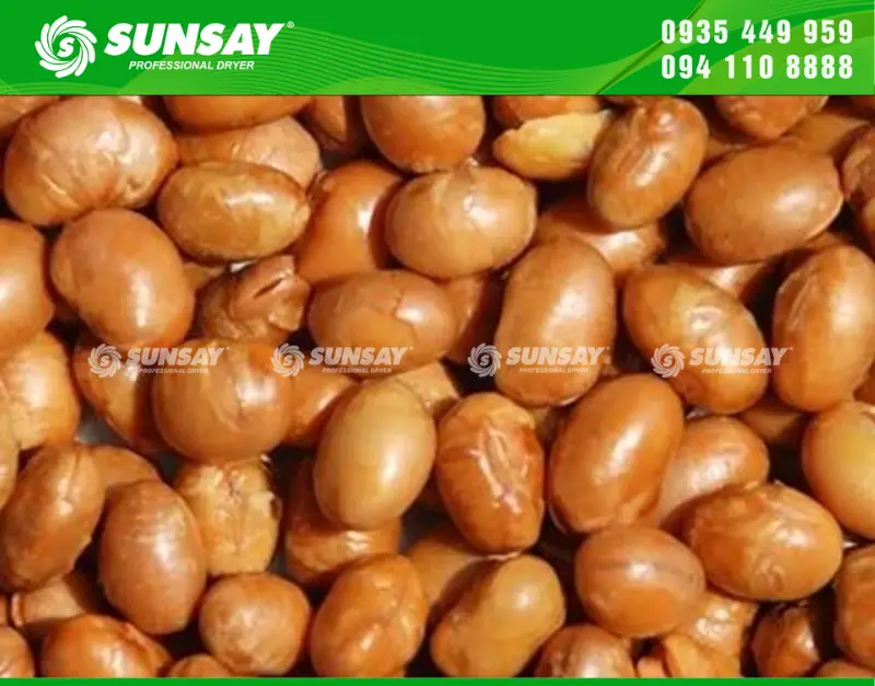 Đậu nành sấy