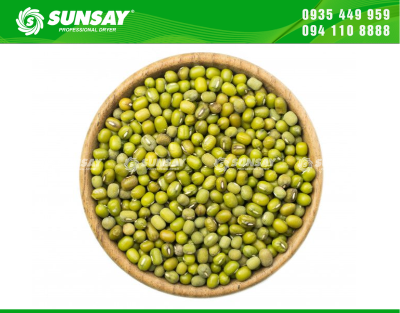 Những sai lầm phổ biến khi chọn máy sấy đậu xanh
