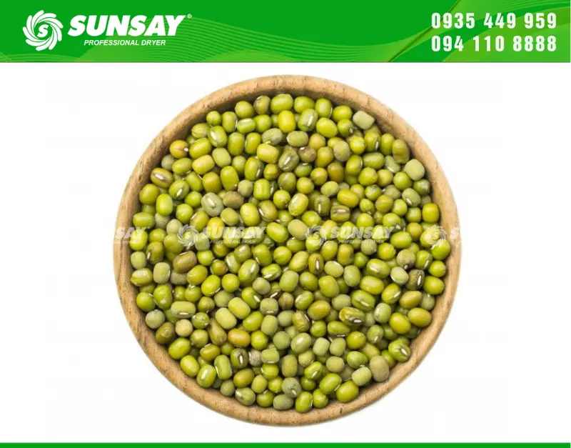 Những sai lầm phổ biến khi chọn máy sấy đậu xanh