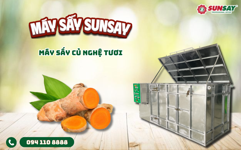 Máy sấy củ nghệ tươi
