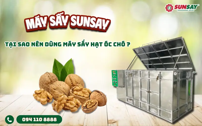 Tại sao nên dùng máy sấy hạt óc chó SUNSAY thay vì sấy truyền thống?