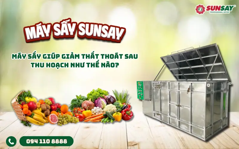 Máy sấy giúp giảm thất thoát sau thu hoạch như thế nào?