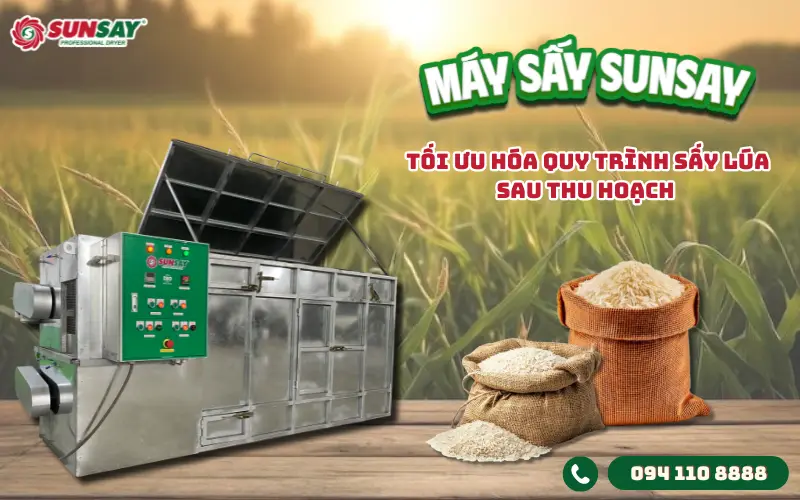 Tối ưu hóa quy trình sấy lúa sau thu hoạch