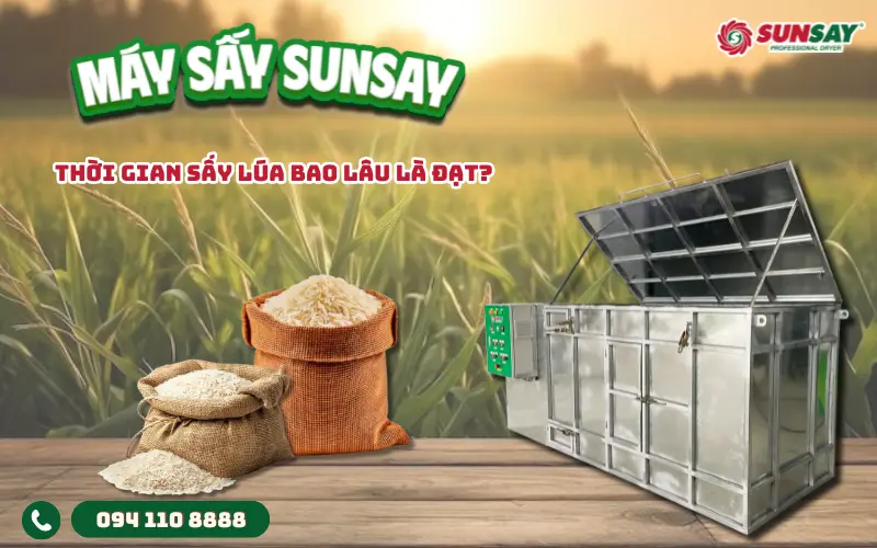 Thời gian sấy lúa bao lâu là đạt?