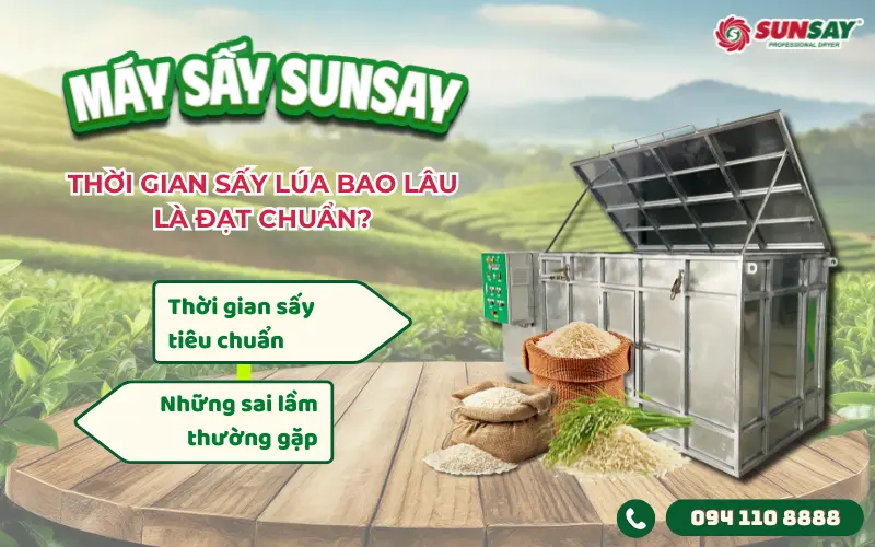 Thời gian sấy lúa bao lâu là đạt chuẩn?
