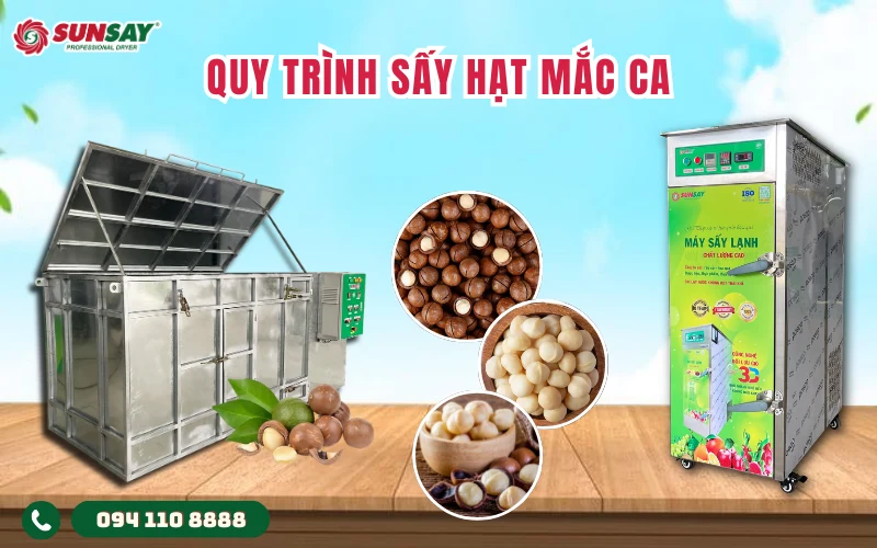 Quy trình sấy hạt mắc ca sau thu hoạch