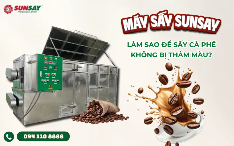 Sấy cà phê không bị thâm màu