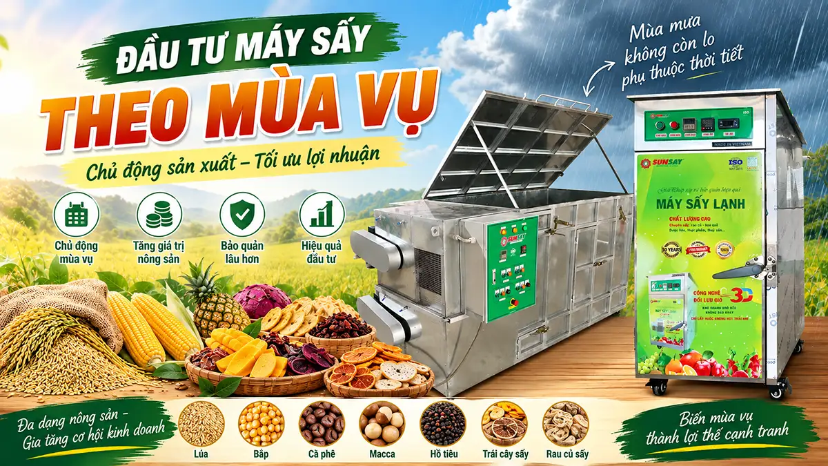 Đầu tư máy sấy theo mùa vụ: Chọn công suất, kiểm soát vốn