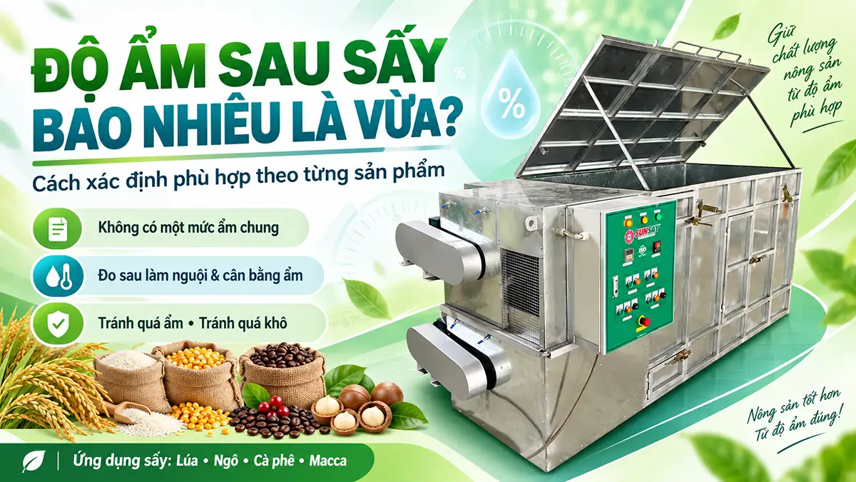 Độ ẩm sau sấy bao nhiêu là phù hợp? Cách xác định theo từng sản phẩm