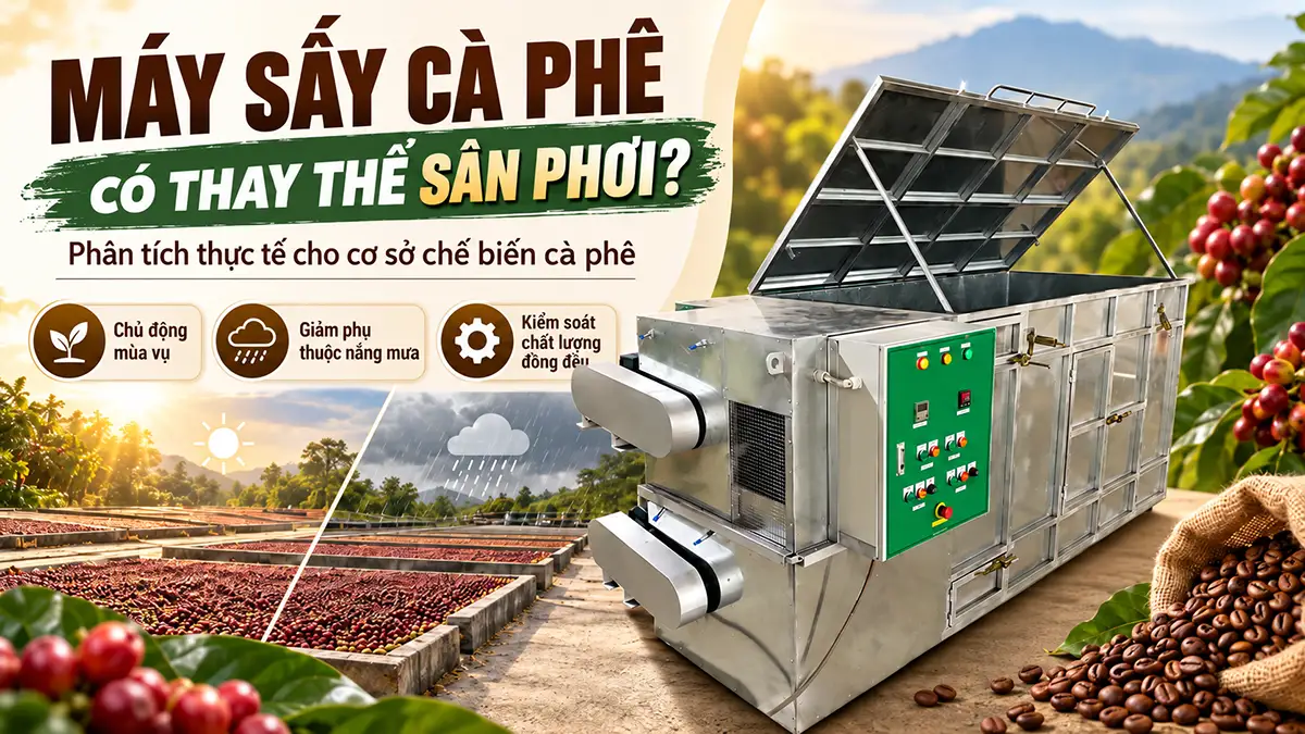 Máy sấy cà phê có thay thế sân phơi được không? Phân tích thực tế