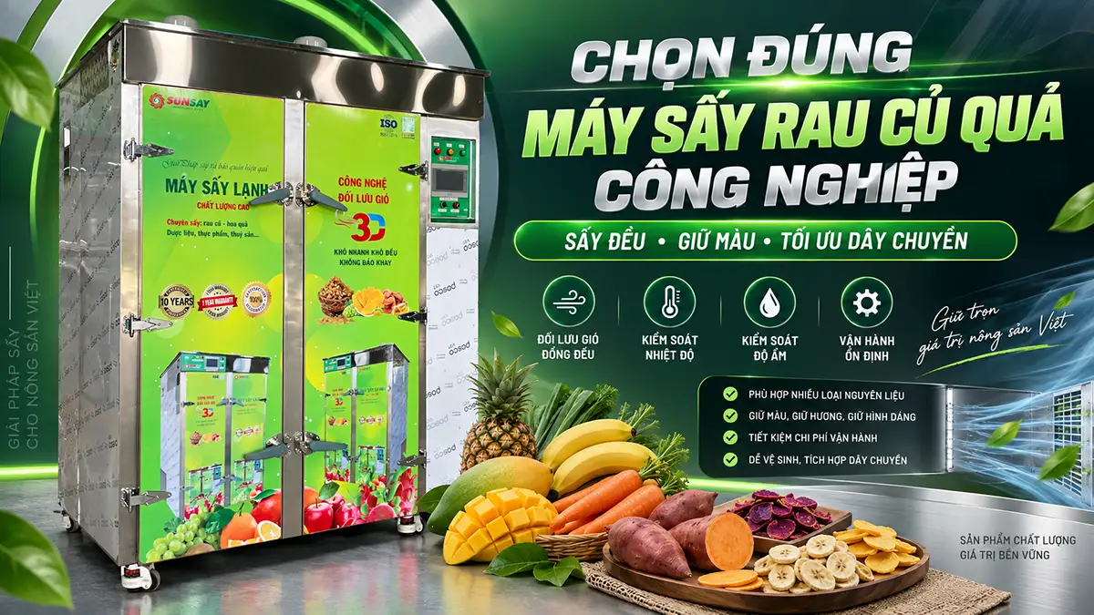 Máy sấy rau củ quả công nghiệp: Cách chọn đúng cho dây chuyền
