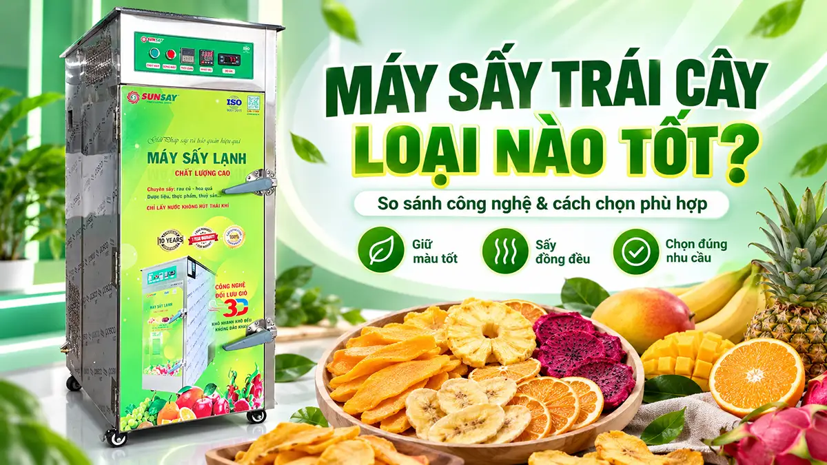 Máy sấy trái cây loại nào tốt?