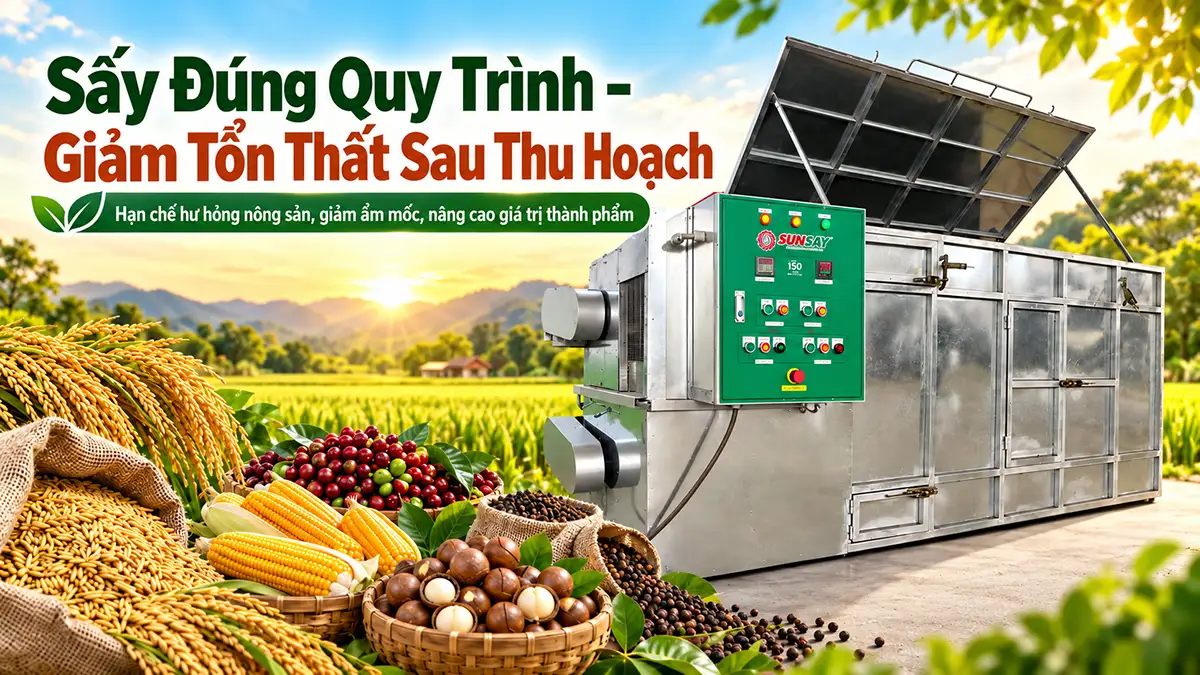 Quy trình sấy giảm tổn thất sau thu hoạch giúp hạn chế hư hỏng nông sản