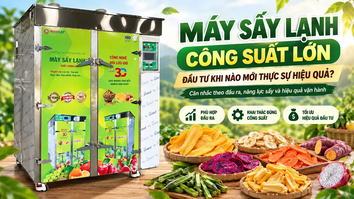 Có nên mua máy sấy lạnh công suất lớn? Khi nào nên đầu tư?