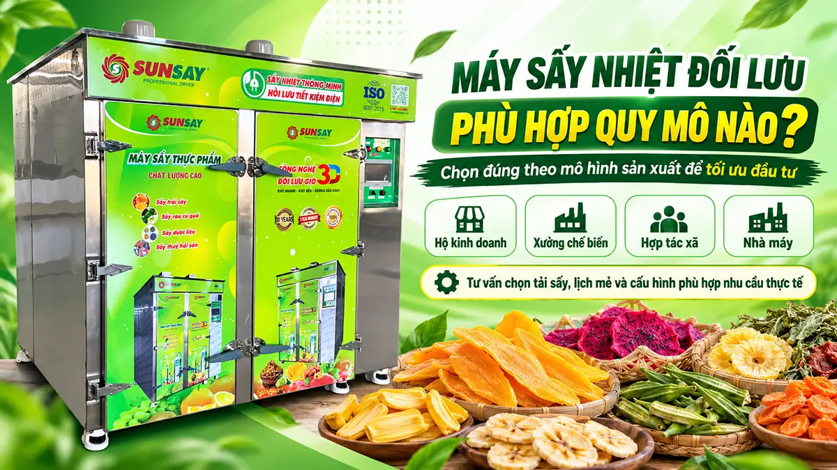 Máy sấy nhiệt đối lưu phù hợp quy mô nào? Cách chọn theo mô hình sản xuất